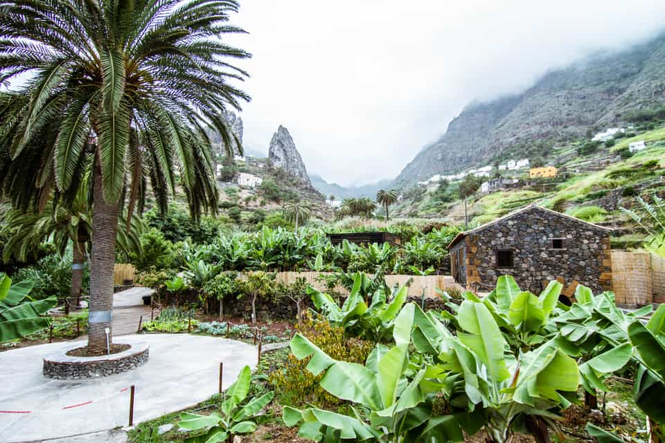 La Laguna Grande, Garajonay National Park, La Gomera - Book Tickets ...