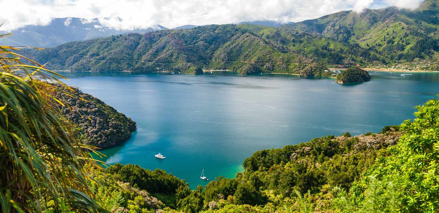 The BEST Marlborough Sounds Spring Activities 2023 - FREE Cancellation ...