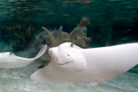 8. SEA LIFE Arizona