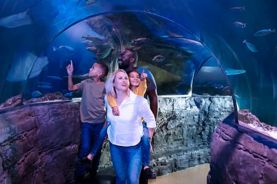 LEGOLAND Discovery Center Michigan, Auburn Hills Réservez des tickets