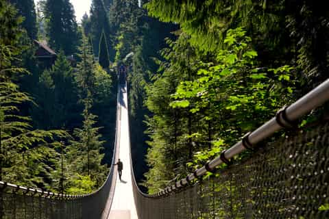 Vista Del Puente Colgante De La Suspensión Del Río Salmón En El