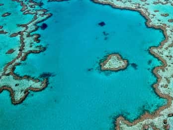 Heart Reef Touren & Tickets