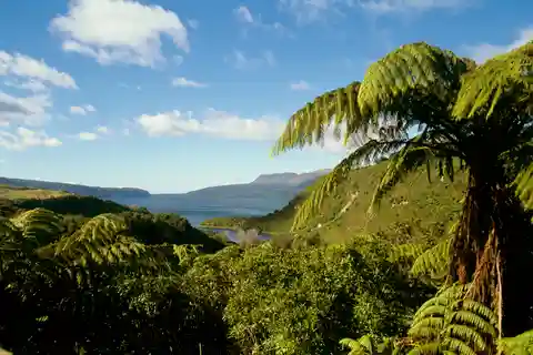 7. Mont Tarawera