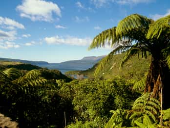 Mt Tarawera Tours & Tickets