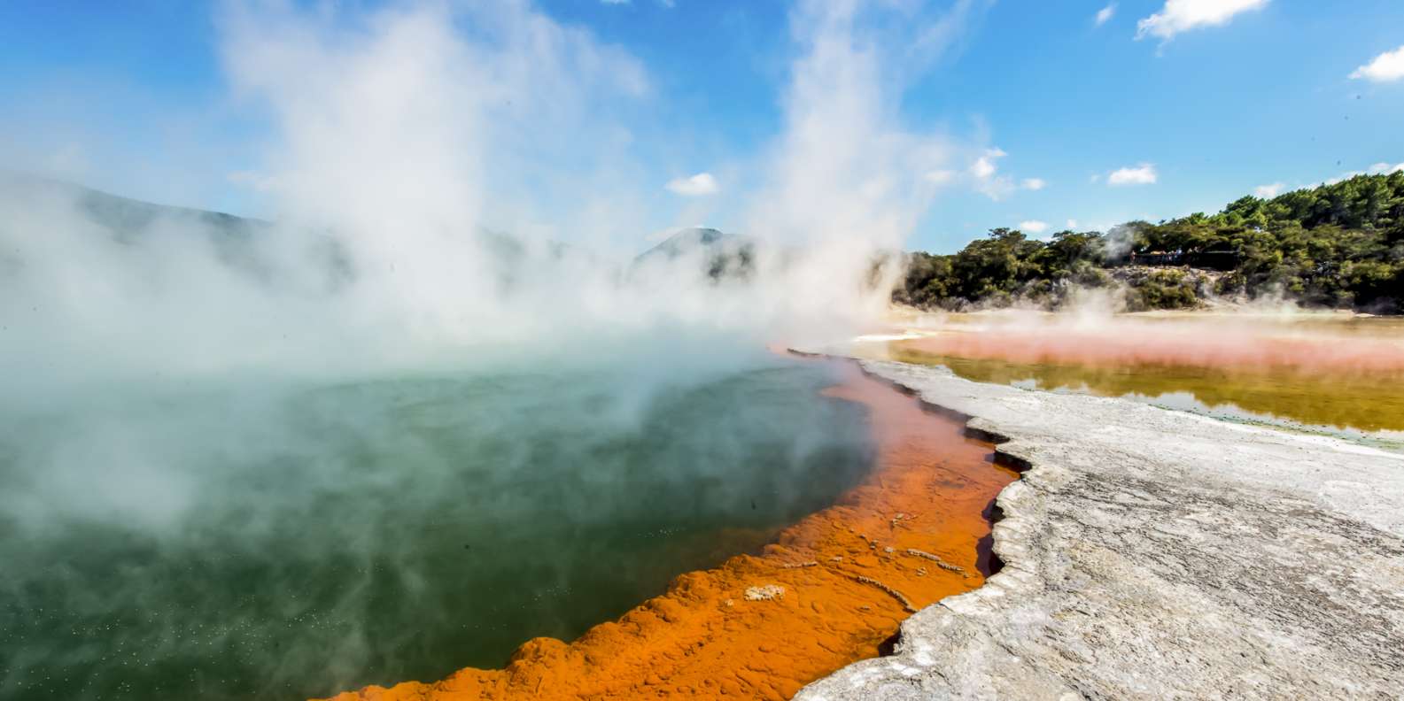 The BEST Rotorua Nature & adventure 2024  FREE Cancellation GetYourGuide