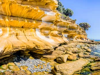 Maria Island Tours & Tickets