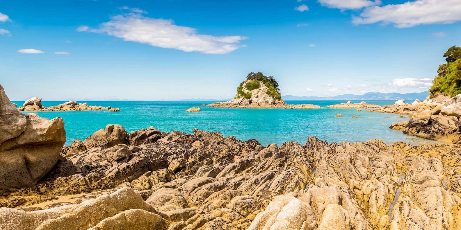 The BEST Kaiteriteri Tours and Things to Do in 2024 - FREE Cancellation ...