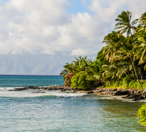 The BEST Kaanapali Tours And Things To Do In 2023 - FREE Cancellation ...