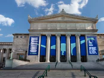Chicago Museum Campus Tours & Tickets