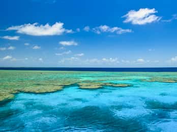Great Barrier Reef - Cairns Great Barrier Reef - Cairns