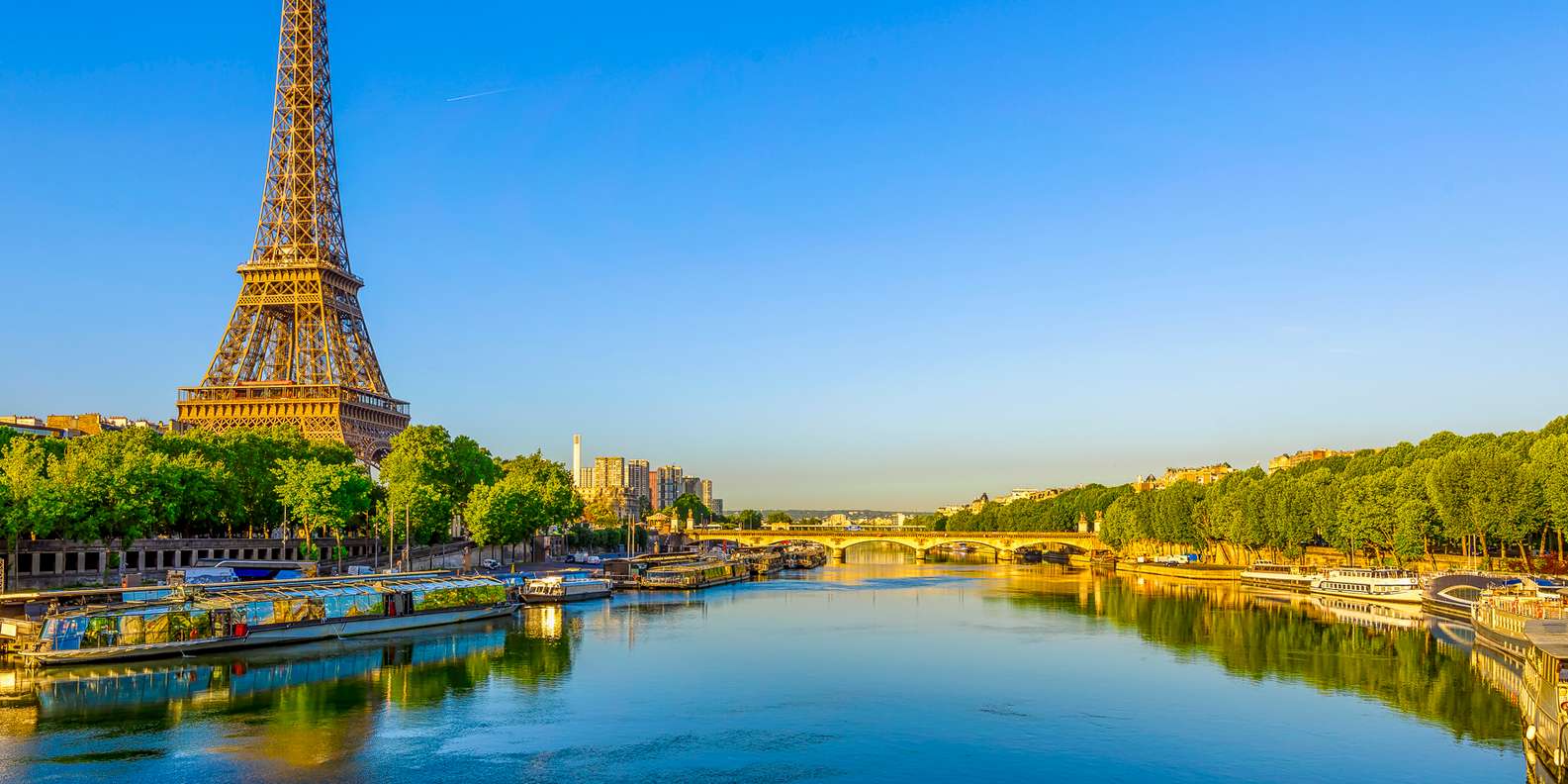 Notre-Dame Cathedral seen from the Seine with bridges