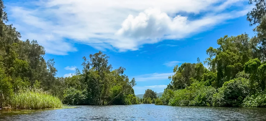 Noosa Everglades