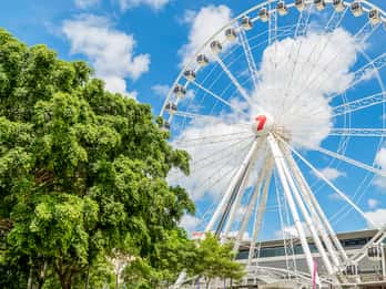 The Wheel of Brisbane