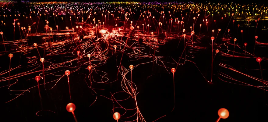 Field of Light Uluru