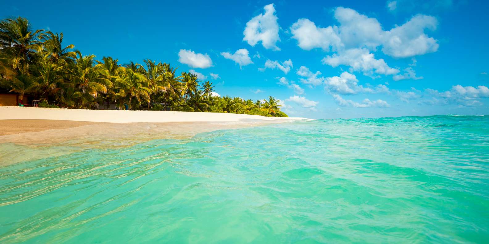 San Luis Auto elettriche il MEGLIO del 2023 Cancellazione GRATUITA