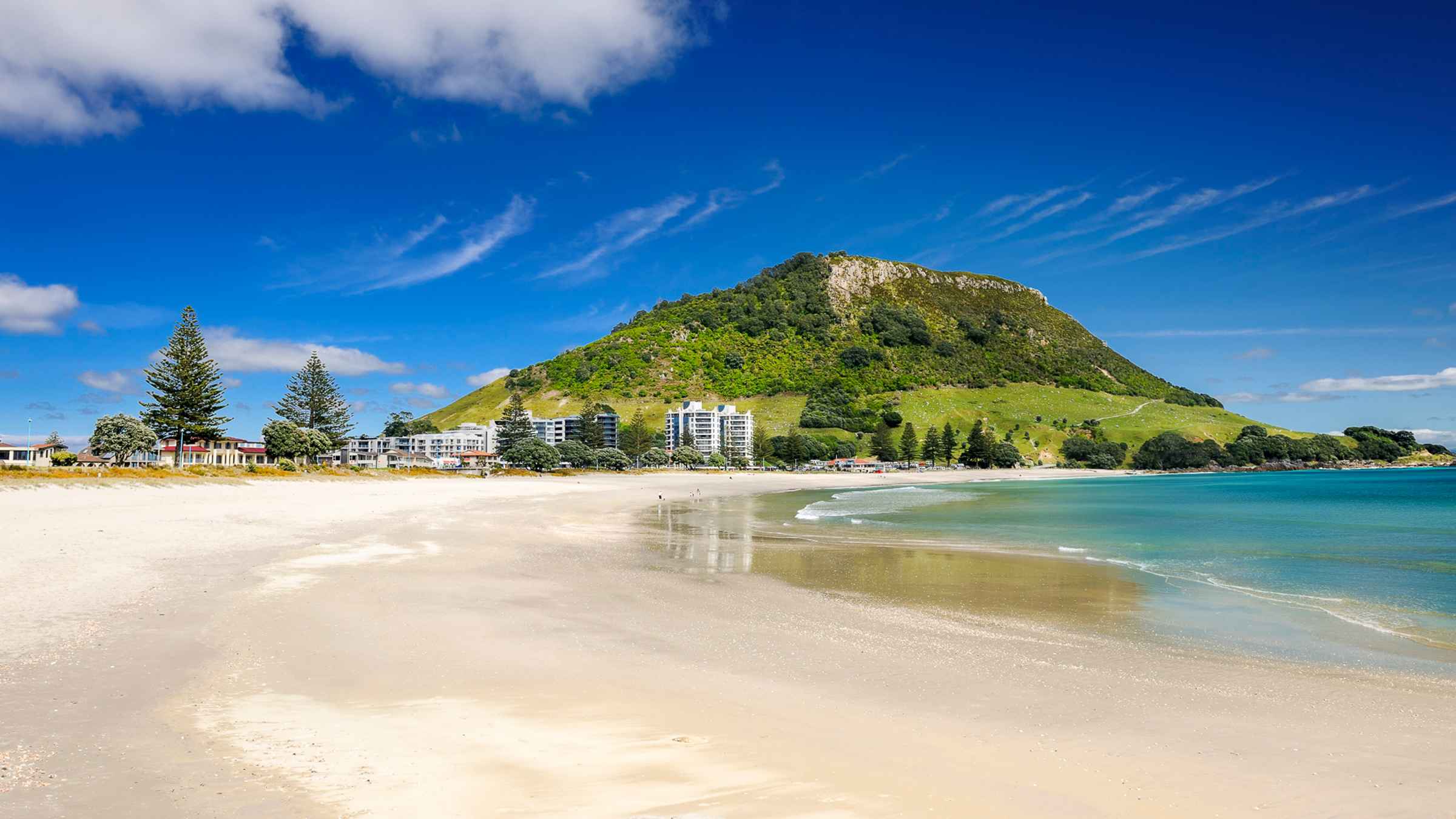 The BEST Mount Maunganui Tours and Things to Do in 2022 FREE