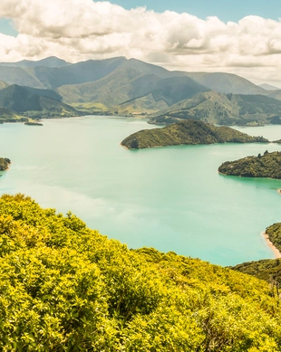 Queen Charlotte Sound / Tōtaranui