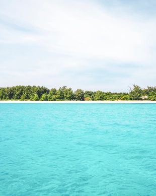 Mnemba Island