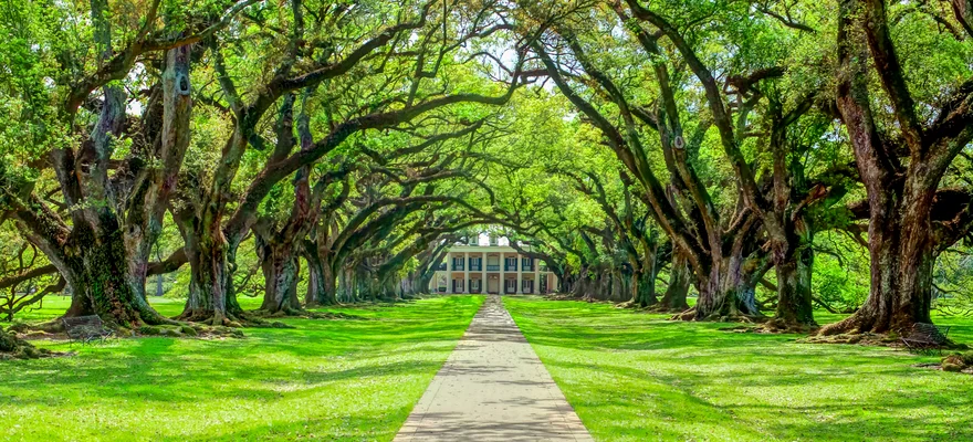 Oak Alley Plantation