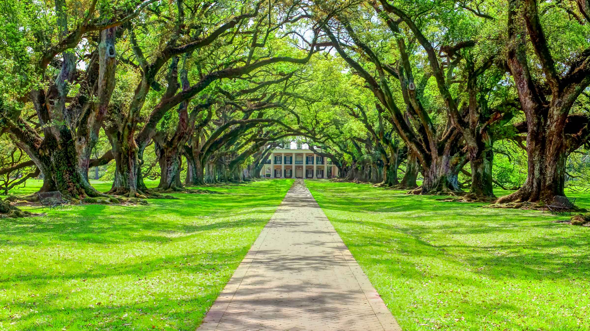 Oak Alley Plantation, Vacherie Book Tickets & Tours GetYourGuide