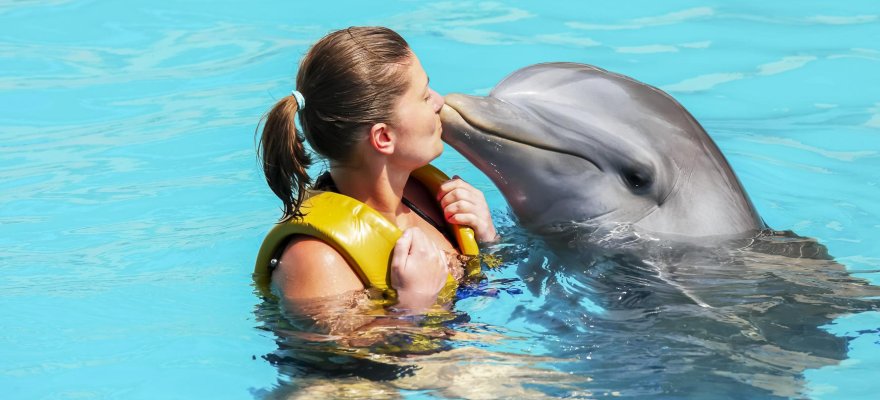 Dolphin Bay, Dubai