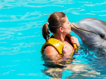 Dolphin Bay, Dubai Tours & Tickets