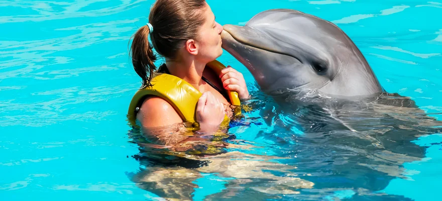 Dolphin Bay, Dubaj