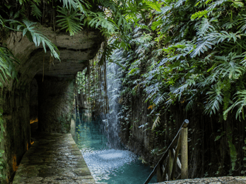 Cenotes Hacienda Mucuyché Tours & Tickets