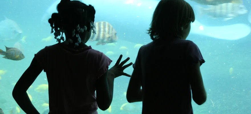 The Florida Aquarium