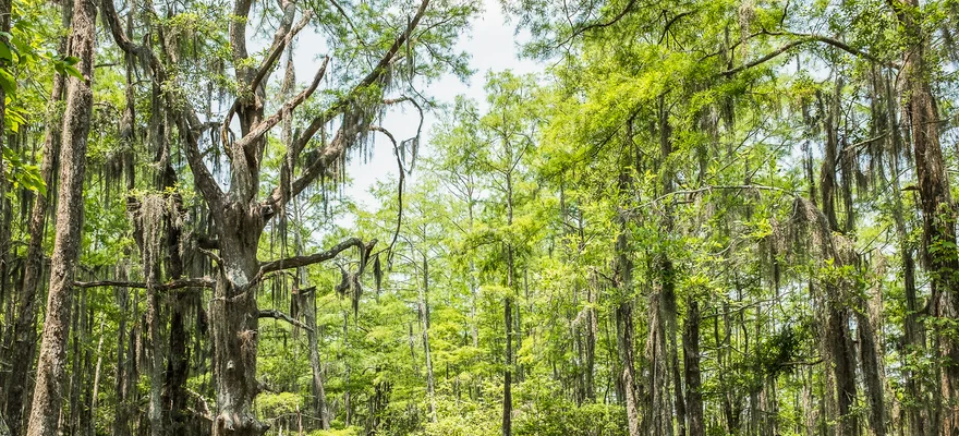 Jean Lafitte National Historical Park und Preserve