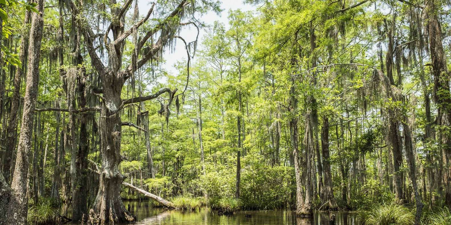 The BEST Jean Lafitte National Historical Park and Preserve For first ...