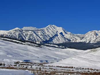 Bridger-Teton National Forest Turer og Billetter