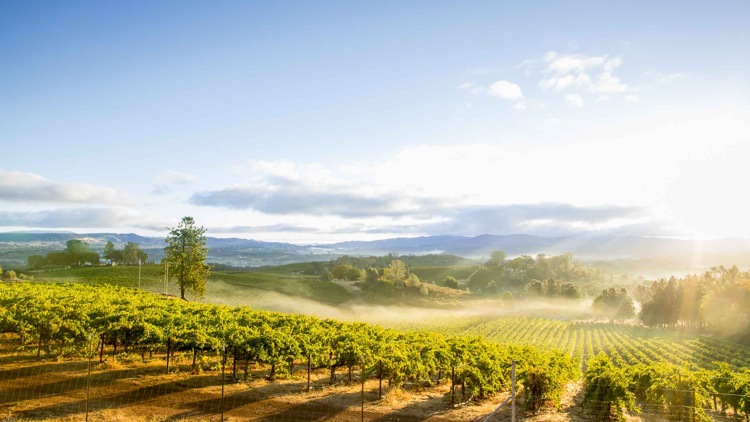 Sonoma Valley 2021 Top 10 Tours & Activities (with Photos) Things to