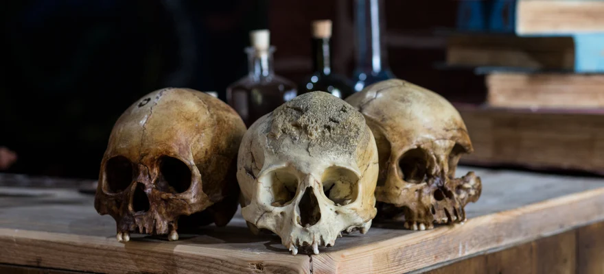 Sick To Death Museum