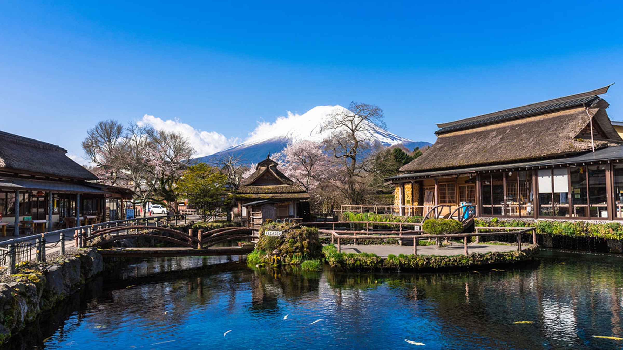 Mt Fuji 5th Station Fujikawaguchiko Book Tickets Tours GetYourG   88 