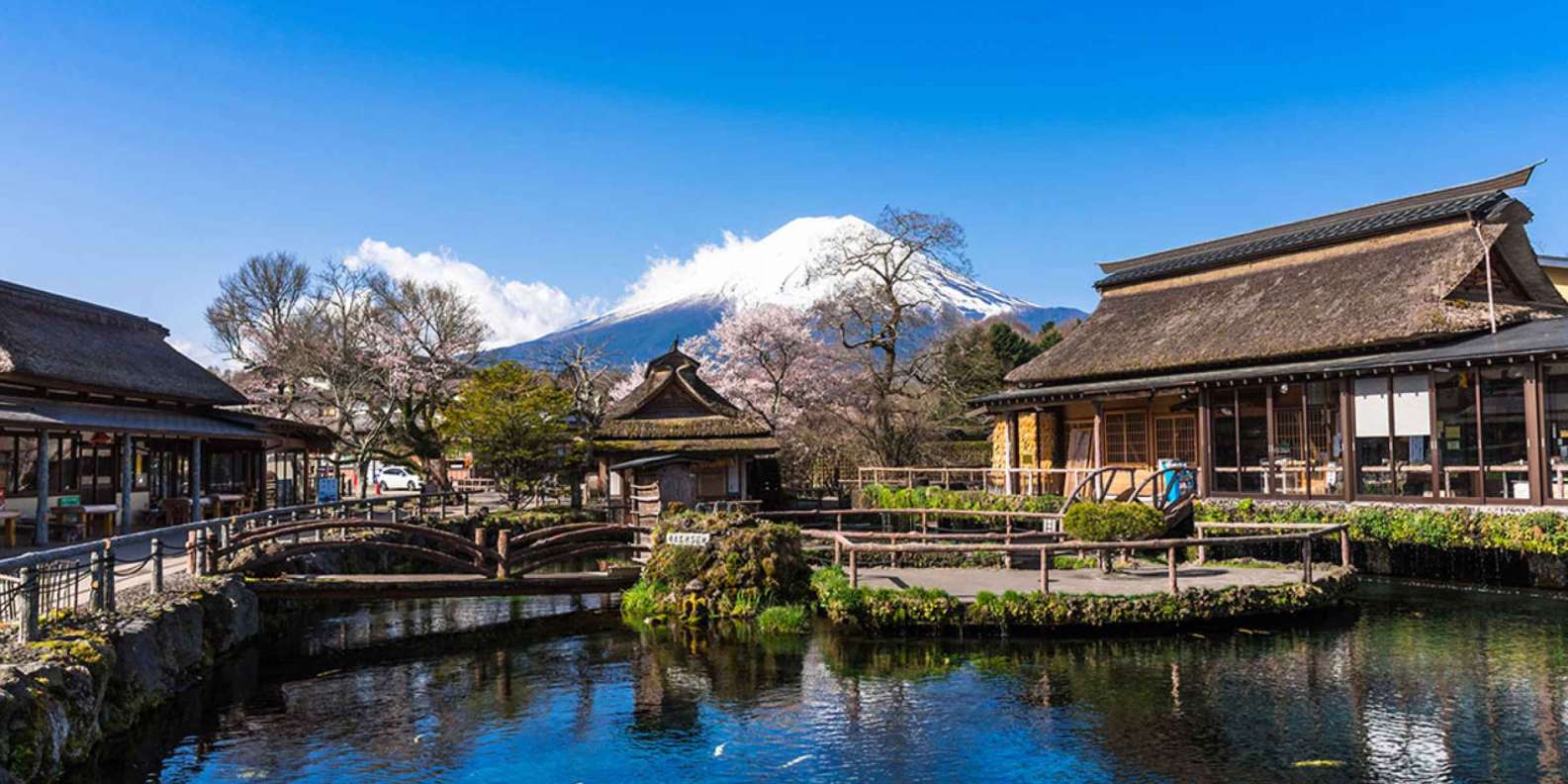 Ce village japonais offre près de 10 000 € pour la capture d'un