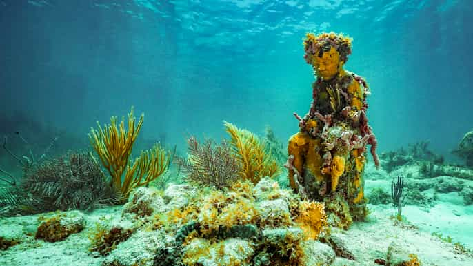 Cancun Underwater Museum Rentals Getyourguide