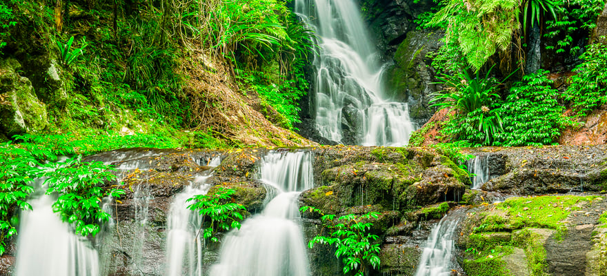 Lamington National Park