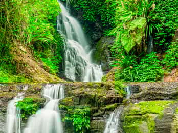 Passeios e Ingressos para a Parque Nacional Lamington
