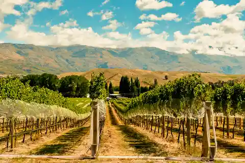 10. Gibbston Valley Winery