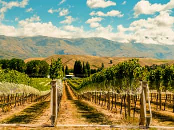Gibbston Valley Weinanbaugebiet Touren & Tickets