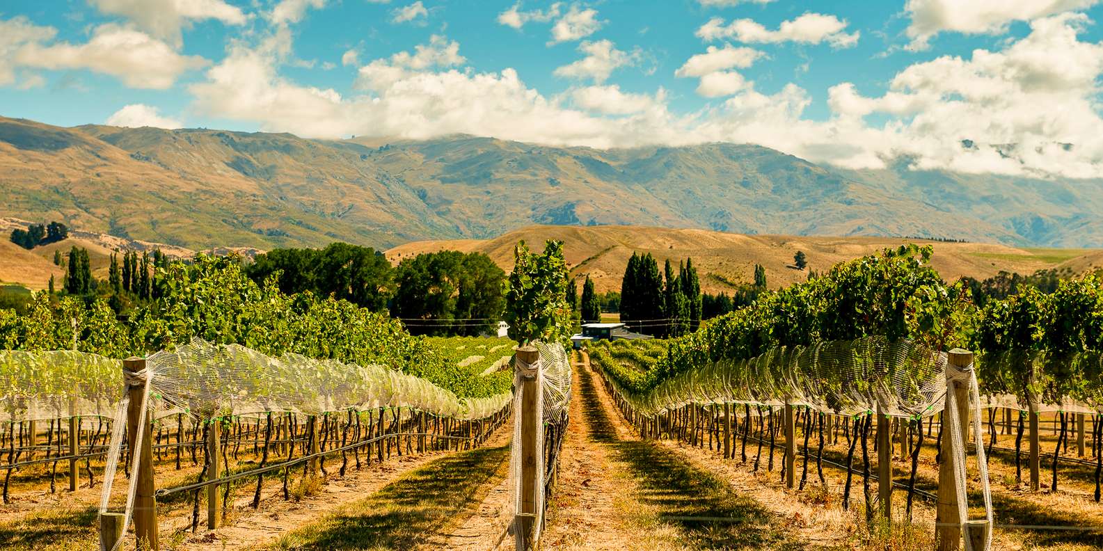 Gibbston Valley Winery Gibbston Book Tickets Tours GetYourGuide