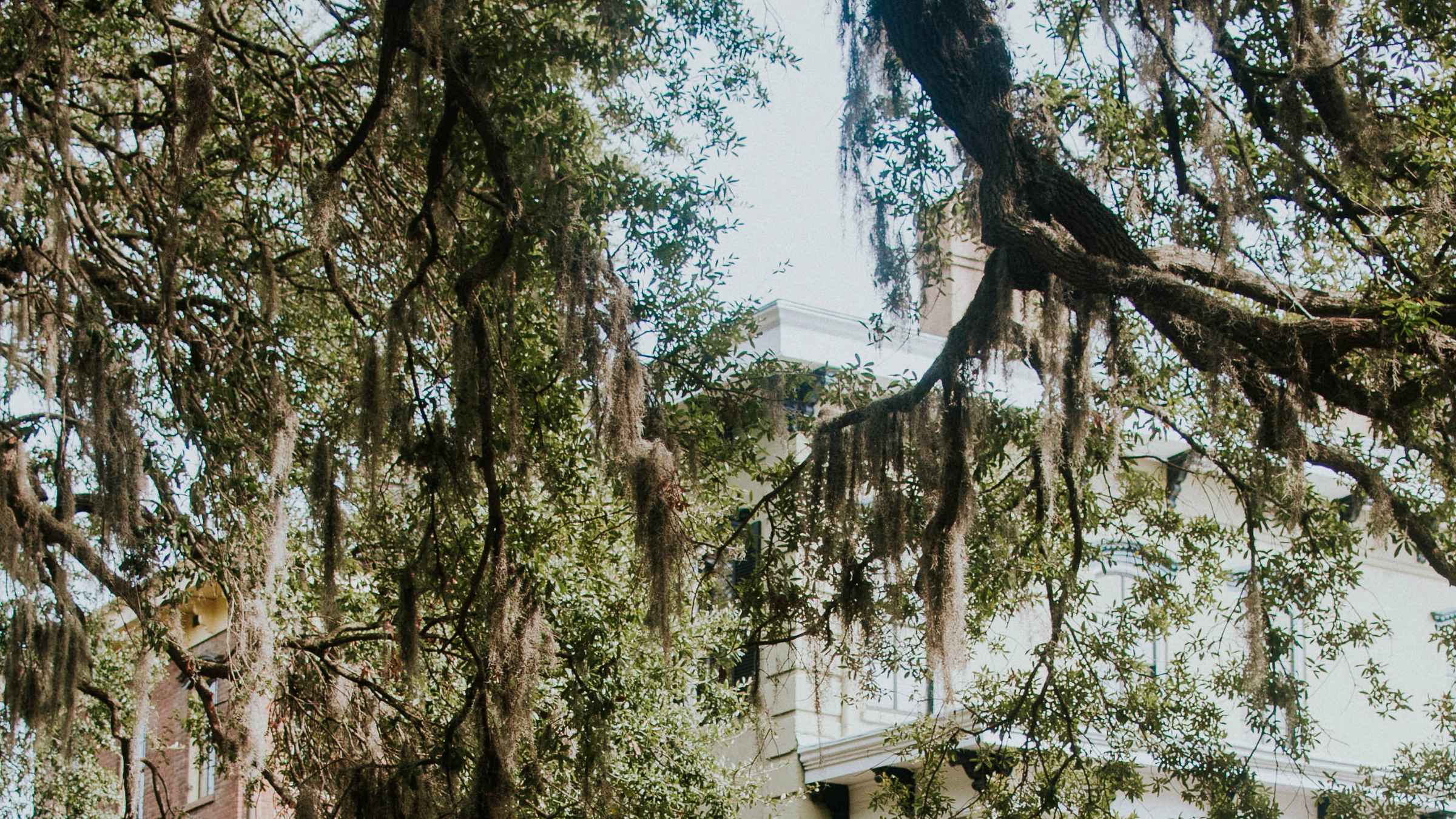 OwensThomas House & Slave Quarters, Savannah Book Tickets & Tours