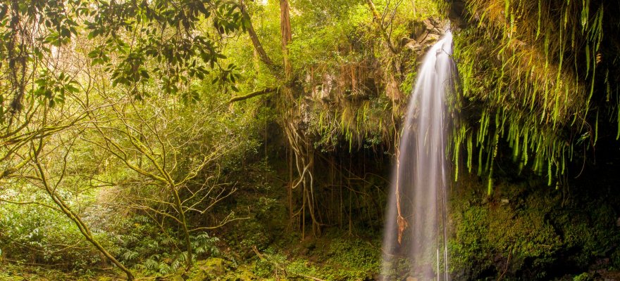 Twin Falls Maui Waterfall