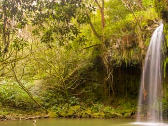 Twin Falls Mauin vesiputous Matkat ja Liput