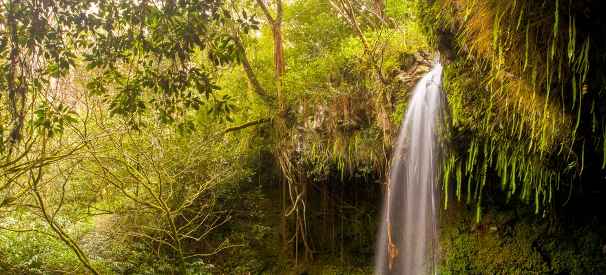 Twin Falls Maui Waterfall