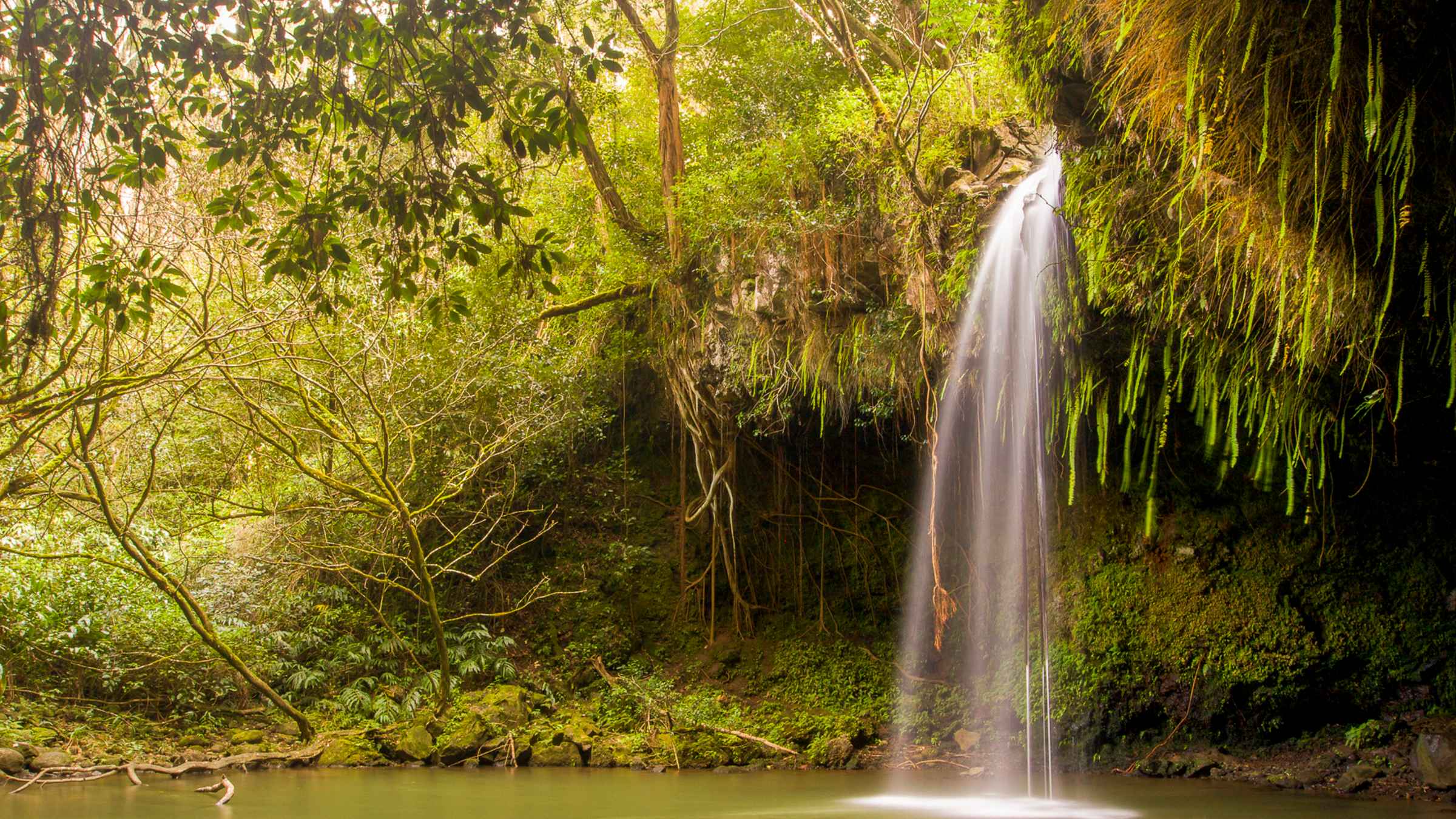 Twin Falls Maui Waterfall Hiking | GetYourGuide