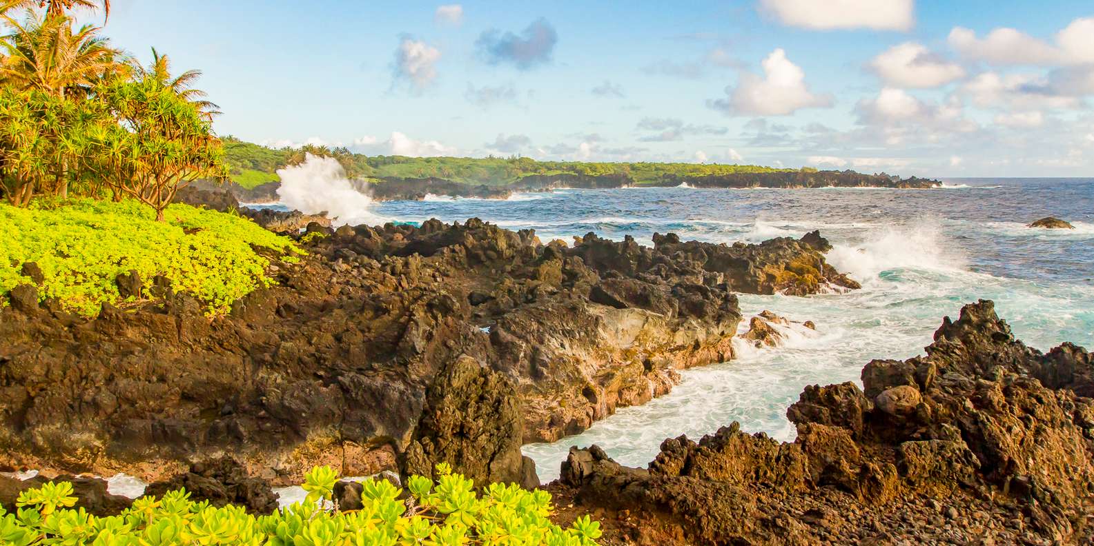 최고의 Waiʻānapanapa State Park 익스트림 스포츠 및 아드레날린 2023 무료 취소 Getyourguide