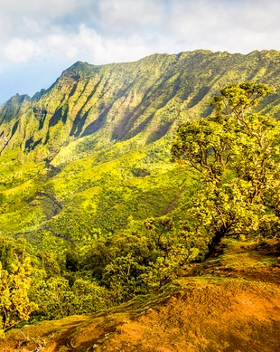 Kōkeʻe State Park