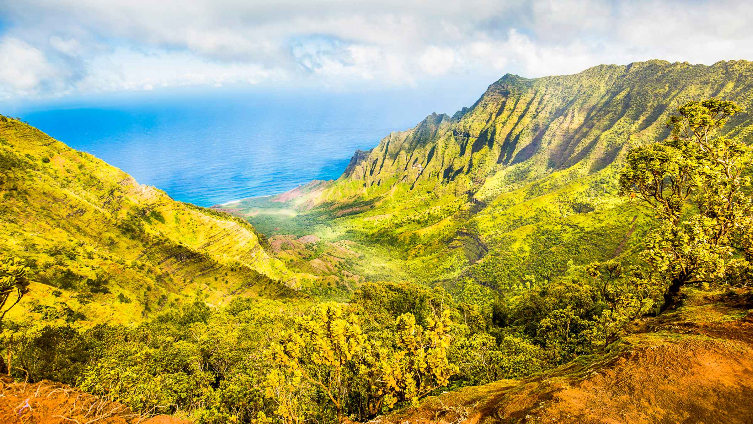 BESTE Aussichtspunkte Kōkeʻe State Park 2022 – KOSTENLOS stornierbar